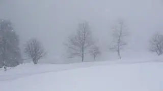 Fog and -38°C frost: Weather in Kazakhstan on January 24