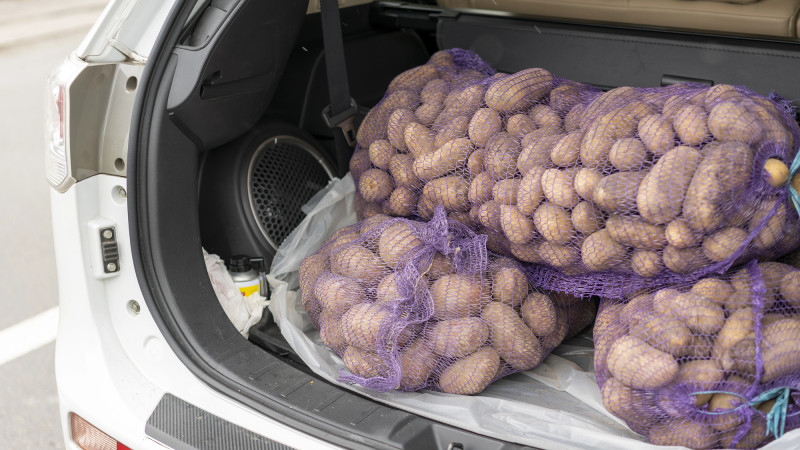 ©️ Depositphotos.com