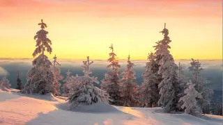 Snow and wind up to 28 m/s: Weather in Kazakhstan on January 29