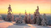 Snow and wind up to 28 m/s: Weather in Kazakhstan on January 29