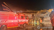 Passenger plane catches fire before takeoff in South Korea