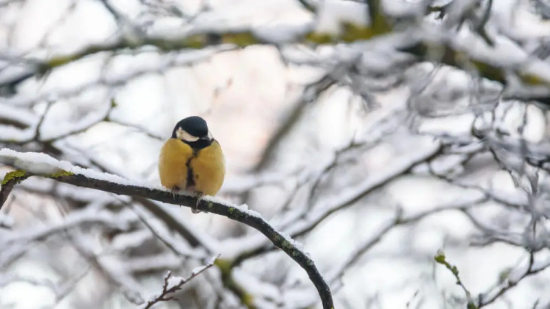 ©️ Depositphotos.com