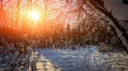Snowfall and frost: Weather in Kazakhstan for January 31