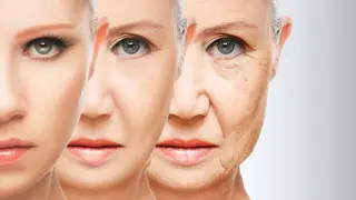 Scientists have found a substance that slows down aging process