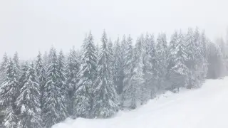 Fog to blanket Almaty until February 10