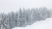 Fog to blanket Almaty until February 10