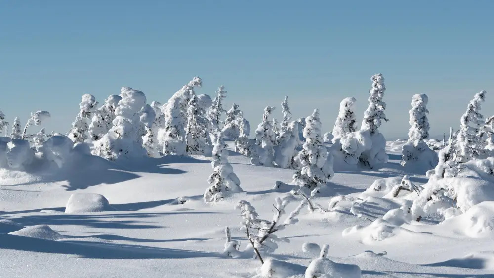 Snow, fog, and -32°C frost: Weather in Kazakhstan for February 10