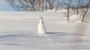 Snow and frost: Astana weather forecast from February 11 to 13