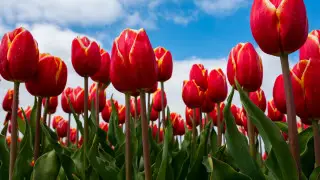 Kazakhstanis will get additional days off