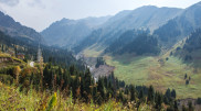 A visitor center for 380 million tenge will be built near Almaty