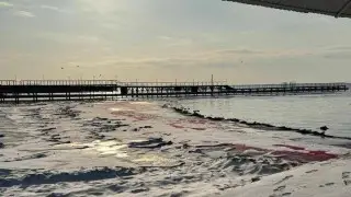 Blood red Caspian Sea frightened Aktau residents