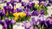 How Kazakhstanis will rest in March: 2025 calendar