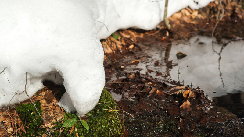 ©️ Depositphotos.com