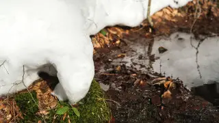 Weather forecast for Kazakhstan from February 18 to 20