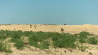 Deputy fears Kazakhstan could “turn into Saudi Arabia”