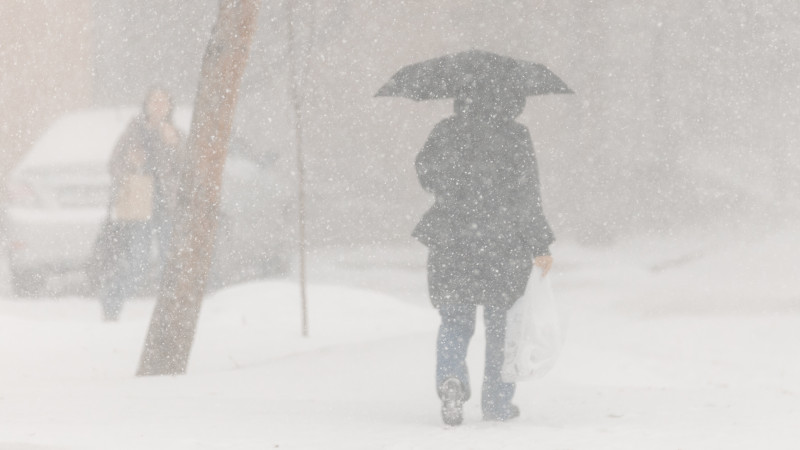 ©️ Tengrinews.kz / Alikhan Sariyev