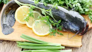 Export of fish from Kazakhstan banned for six months