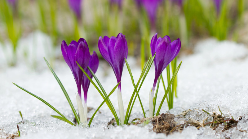 ©️ Depositphotos.com