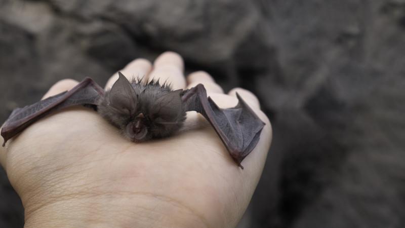 ©️ Depositphotos.com