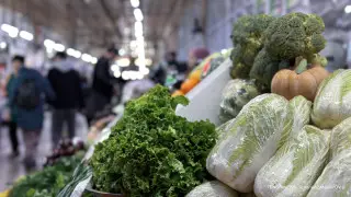 Trade Minister comments on reports of rising food prices