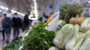 Trade Minister comments on reports of rising food prices