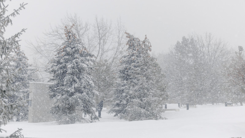 ©️ Tengrinews.kz / Alikhan Sariyev