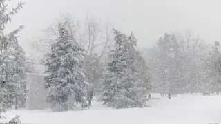 Snowfalls and strong winds: Weather in Kazakhstan on February 27