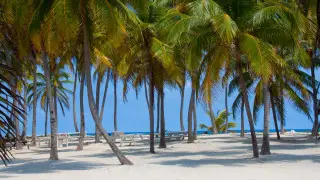 Mysterious death of three young American tourists is being investigated in Belize