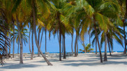 Mysterious death of three young American tourists is being investigated in Belize