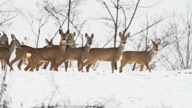 ©️ Depositphotos.com