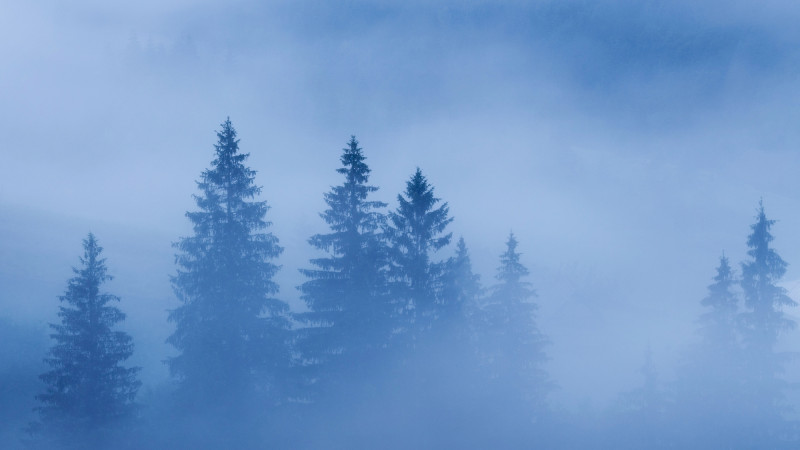 ©️ Depositphotos.com