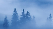 Foggy and icy weekend ahead for Astana and Almaty