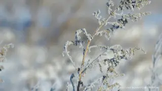 Frost, fog, and strong winds: Weather in Kazakhstan's cities on March 3
