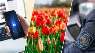 How life in Kazakhstan will change from March 2025