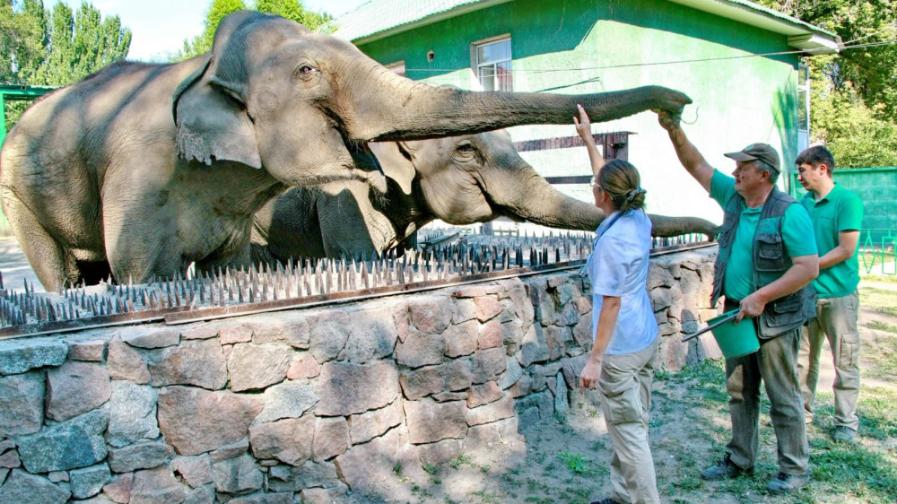 More than a million people visited Almaty Zoo in 2024