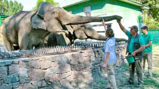 More than a million people visited Almaty Zoo in 2024