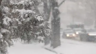 Snow, rain, and strong winds: Weather in Kazakhstan for March 6
