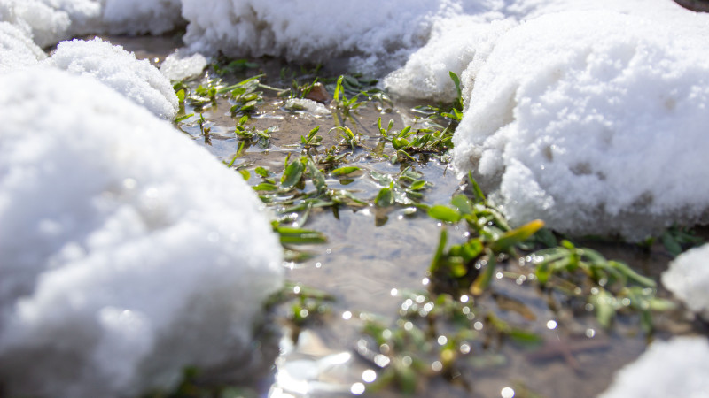 ©️ Depositphotos.com