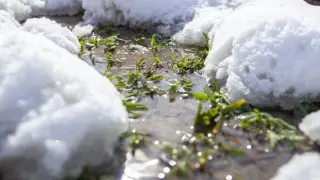 50 degrees difference: what is happening with the weather in Kazakhstan