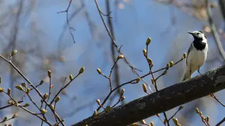 Heat up to 23 degrees has come to Kazakhstan