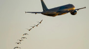 Plane collided with a bird during a Phu Quoc – Astana flight