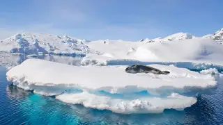 Scientists reveal what Antarctica looks like without ice