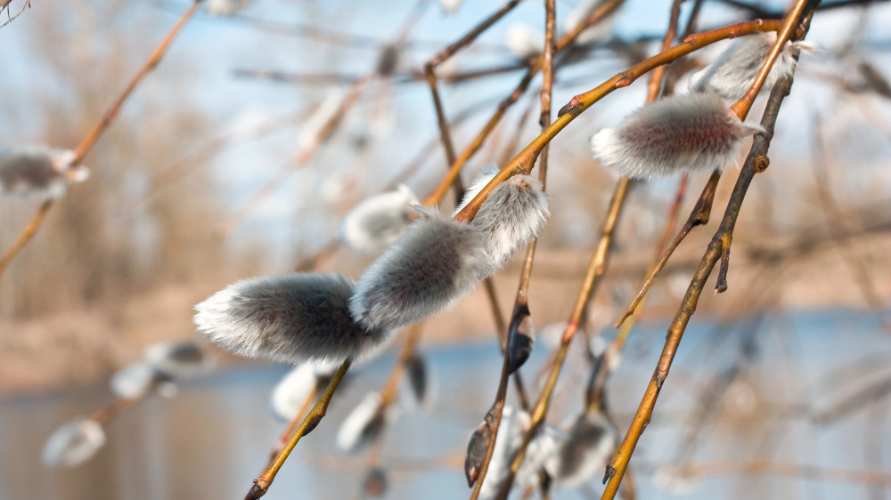 Rains and warming: Weather in Kazakhstan for March 18