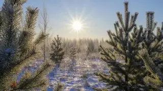 Sharp cold snap to hit Kazakhstan: Forecasters warn of frost