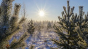 Sharp cold snap to hit Kazakhstan: Forecasters warn of frost