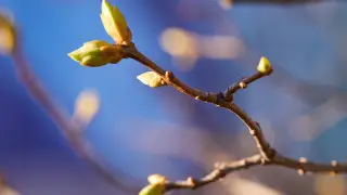 From +15 to -23: Weather in Kazakhstan on March 27