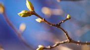 From +15 to -23: Weather in Kazakhstan on March 27
