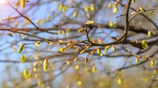 Thunderstorms to hit Kazakhstan as temperatures rise to +28°C