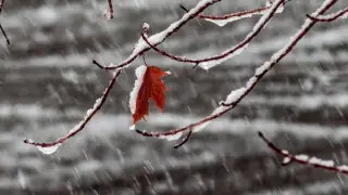 Did the weather in Kazakhstan join the April Fools’ party