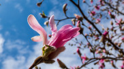 Thunderstorms, snow, and heat - Kazakhstan’s April 2025 weather forecast